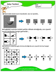 Zeka Gelişim Testleri